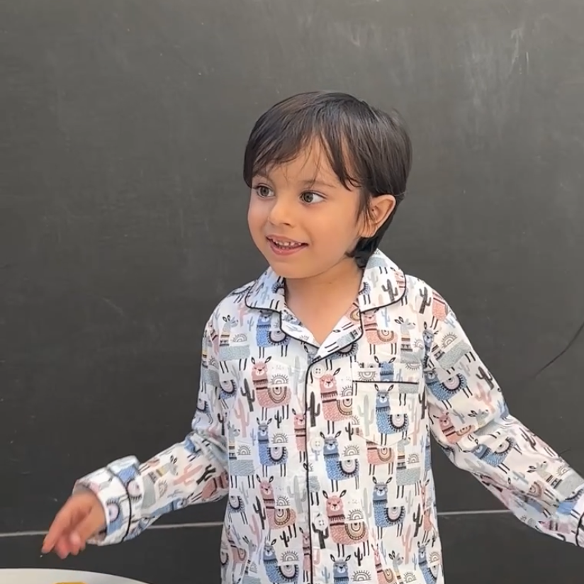 Llama Land Print Nightsuit