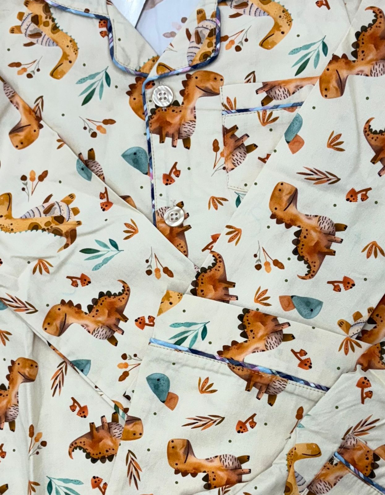 Dino Pals Print Nightsuit